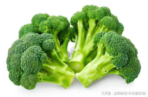西兰花花语中，纯洁与希望的含义