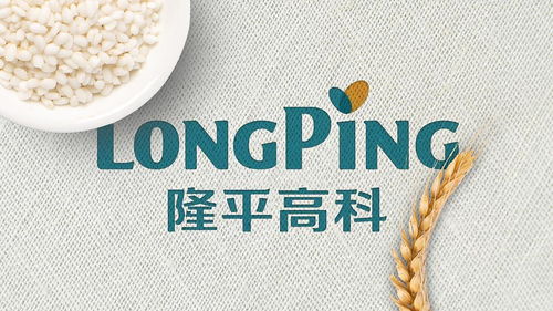 种子休眠的生存智慧