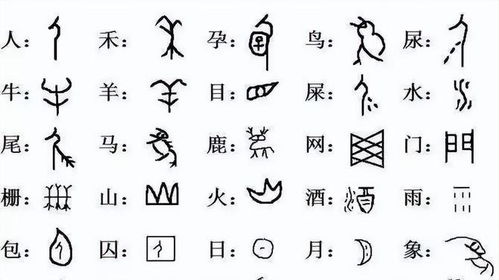 甲骨文里的“花”