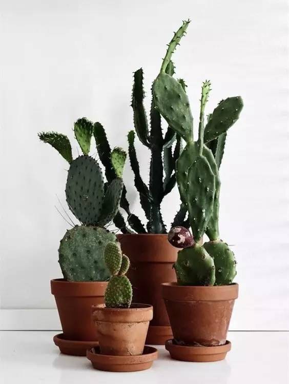 一、 水生植物养法：第一步，选对环境