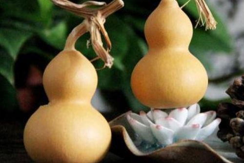 葫芦如何保养效果最好？葫芦保养秘诀是什么