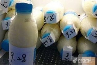 龙眼低温结合药剂贮藏法，延长保鲜期