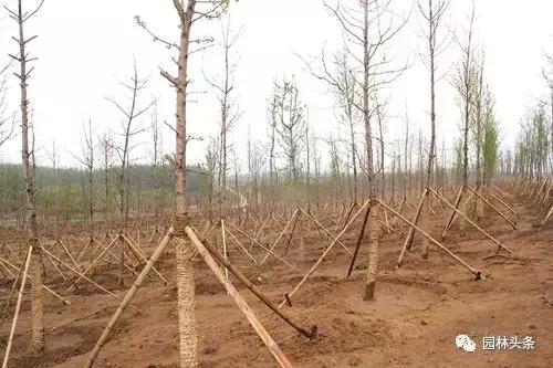 第一步：分析原因，对症下药