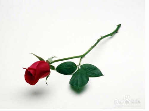 材质多样， 各有千秋