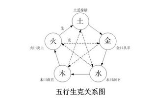 树木属木，那它与其他五行有何关联