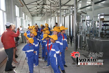 第二招：学会kan懂说明书