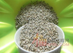 品质差异：药店薏米和超市薏米一样吗？