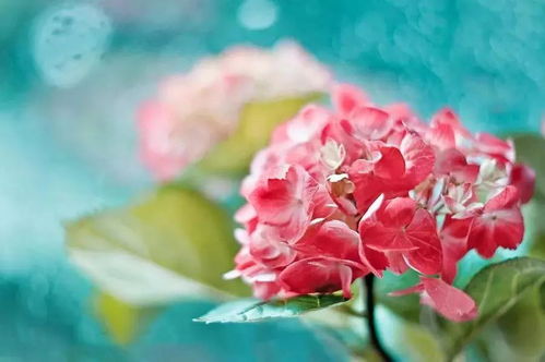 后期处理的技巧