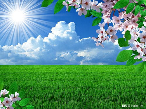 春天的胡说八道