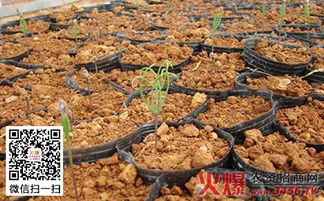 播种后还要注意啥？