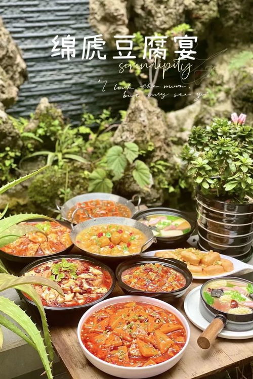 淮南豆腐亮相米兰世博会，传承千年美食文化