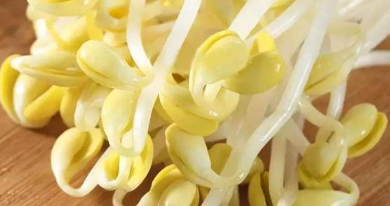 豆芽富含多种维生素和矿物质，具有清热解毒、促进消化等功效