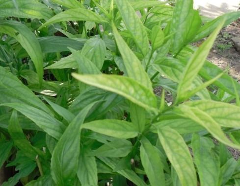 三大优势，拍胸脯保证