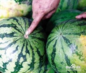 缩头病又是怎么回事？