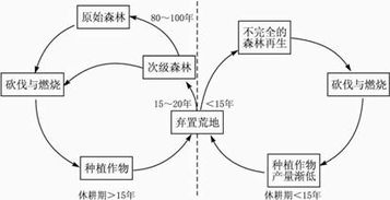 农药在水体中的迁移