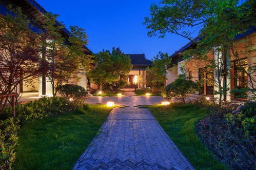 园林设计中植物的搭配技巧