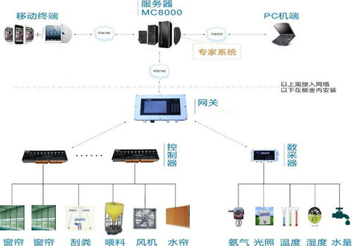 优化农业养殖场智能门禁系统布局方案