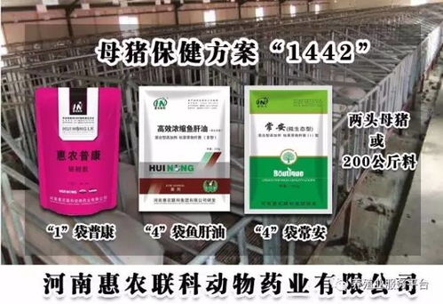 红糖养猪有哪些妙用？催奶催情抗应激？