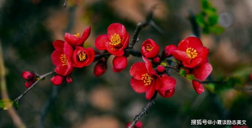 先说说 你得找到一个好教程