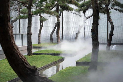 仔细观察， 松树枝叶繁茂，针状叶呈现出独特的生命力