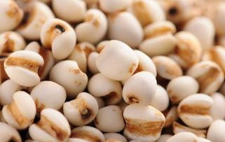 薏米泡水， 泡米酒就不会；不然吃了肯定要闹肚子的