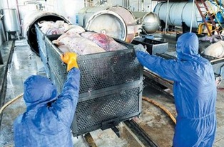 畜禽尸体无害化处理，确保养殖环境安全