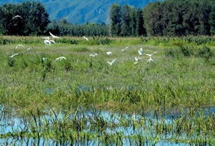 三、 滞尘小嫩手