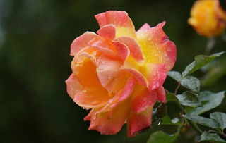 空间不够怎么办？翻盆来帮忙！