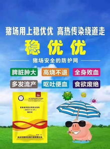 如何优化猪场夏季免疫流程，有效降低应激死亡风险？