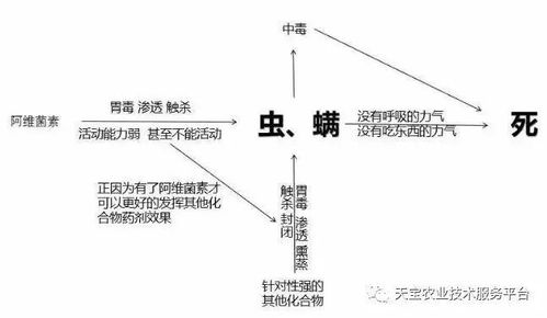 阿维菌素：杀虫界的“老将”