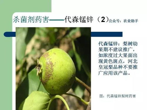 农药碱性的识别小技巧