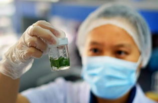 农药残留量：控制农产品的“平安密码”