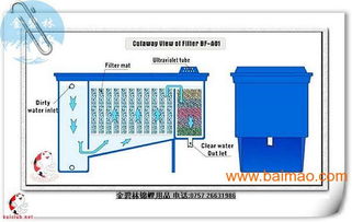 大型鱼池过滤系统：揭秘那些你不知道的过滤仓