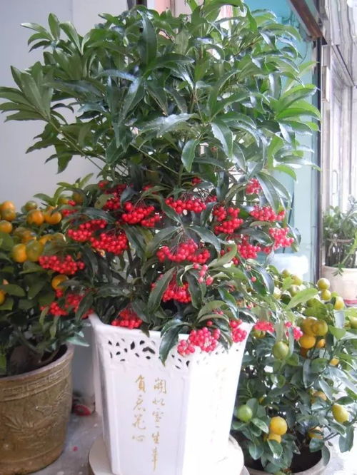 种子选择与处理