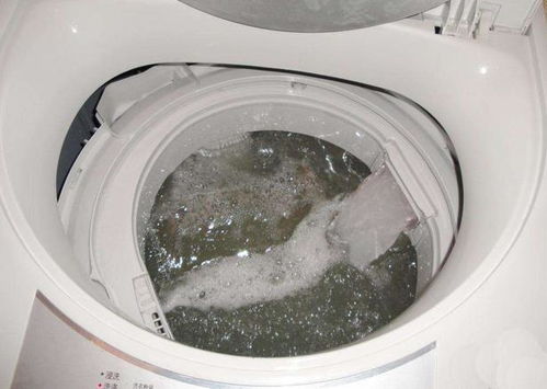 1. 使用漂白剂清洗