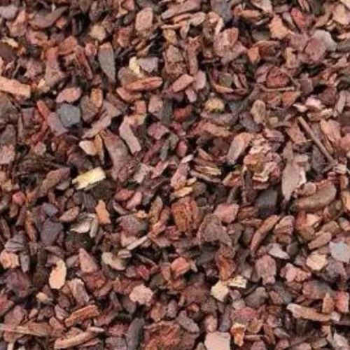 松树皮与兰花：一段奇妙的结合