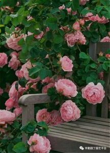 方法一：光照乃重中之重