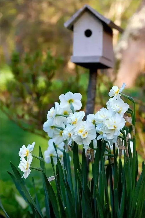 繁殖了?什么又会自行繁殖?哪类?