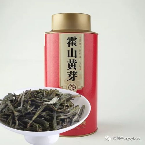 专家意见，我们该听谁的？