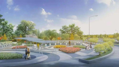 口袋公园苏州市植物选择