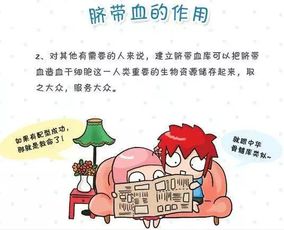猪脐带血如何成为养猪业的黄金资源