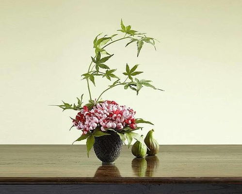 香气之谜：从古代的烟雾到现代的花卉种植