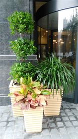 服务内容与费用的关系