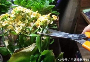 直接放温暖地方，大错特错！