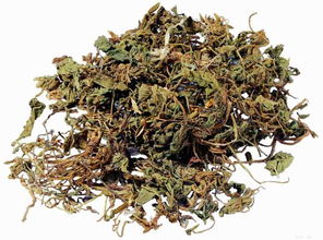 3. 娃娃草：神秘的中药材