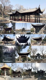 犹如点缀在园林绿地中的明珠一样，光彩照人！