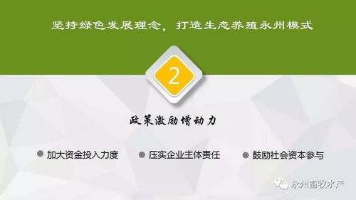 推广生态养殖，打造健康绿色农产品