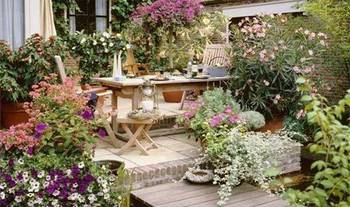 注意养护，花儿才嫩长得好