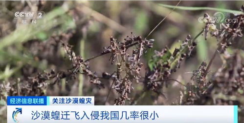 应急用药指导， 加强监测预警