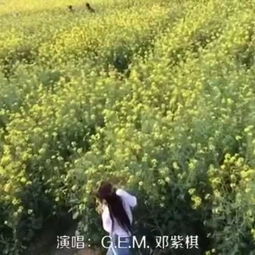 与花草树木的简单对话